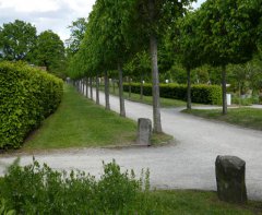 Allee im Botanischen Garten